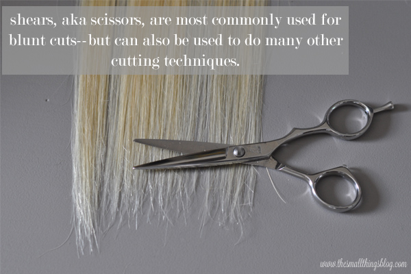 Beauty 101: Tools used in a Haircut – The Small Things Blog
