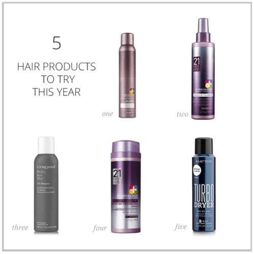 5 Hair Products to Try This Year