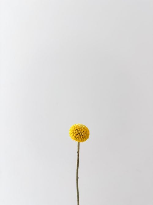 5 books I wish could read for the first time again